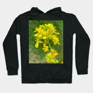 Yellow lampshade flower Hoodie